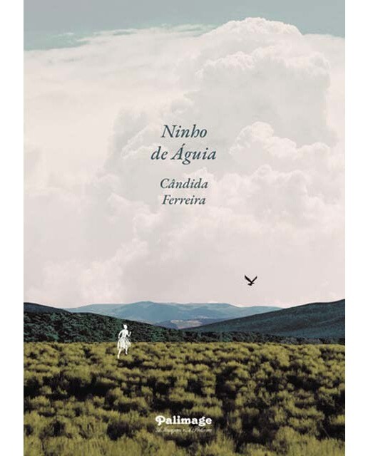 Ninho de águia