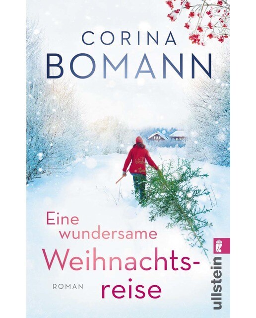 Eine wundersame weihnachts reise 1