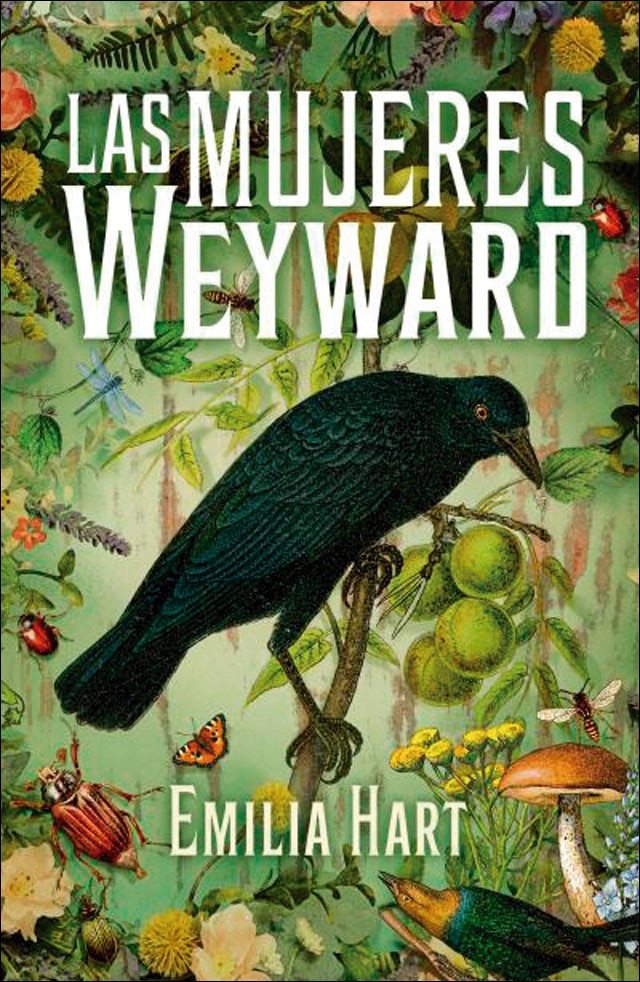 Imagen 0 de Las mujeres Weyward (Tapa blanda)