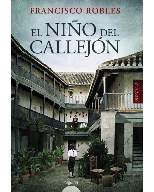 Imagen 1 de El niño del callejón  (Tapa blanda con solapas)
