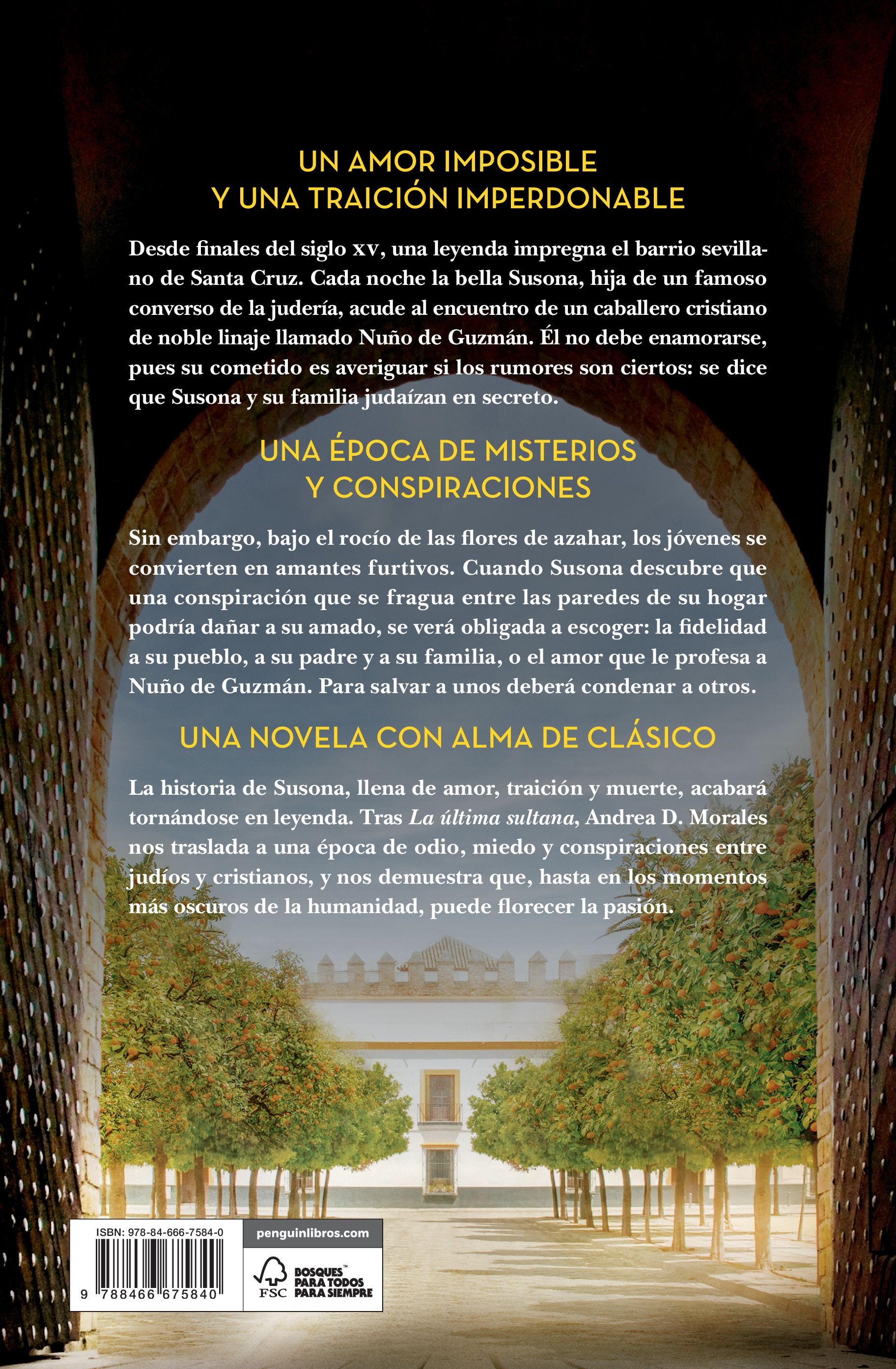 La dama de la judería (Capa dura) 2