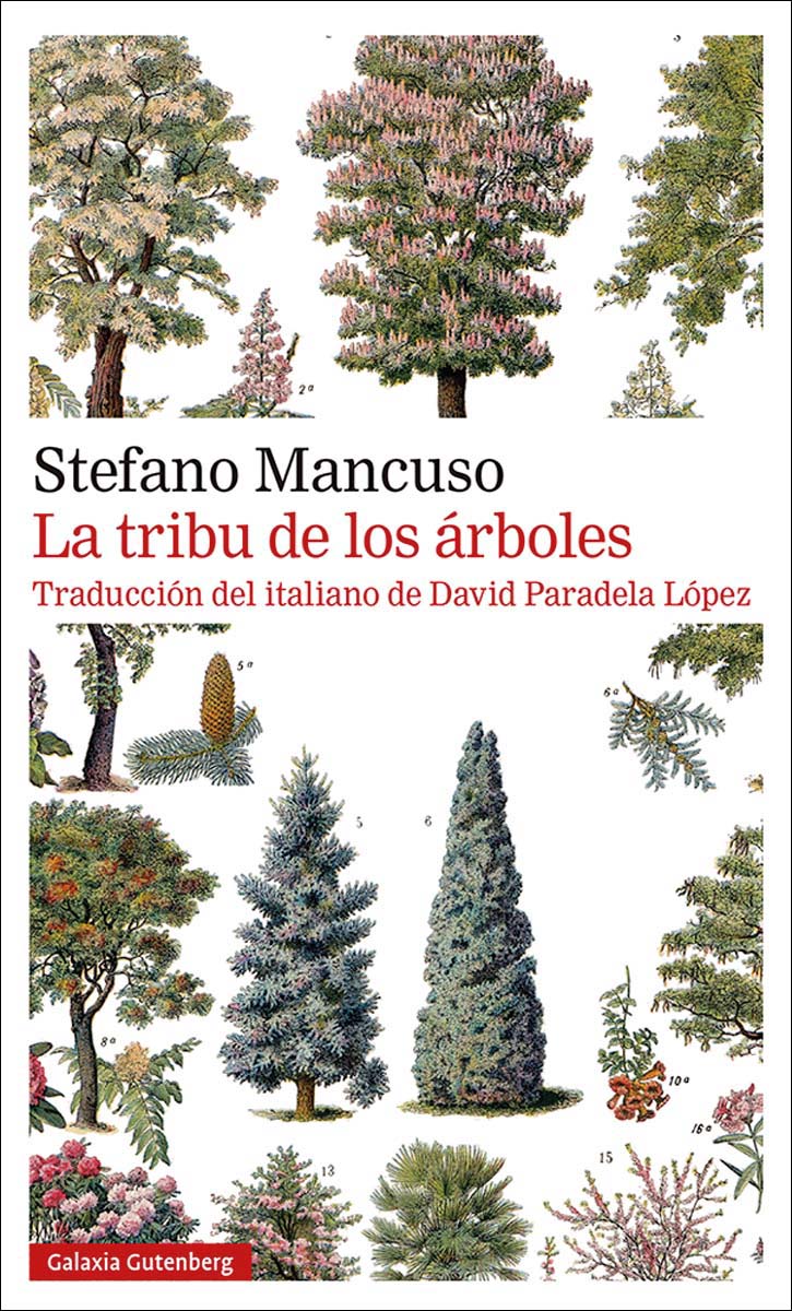Imagen 0 de La tribu de los árboles (Tapa blanda)
