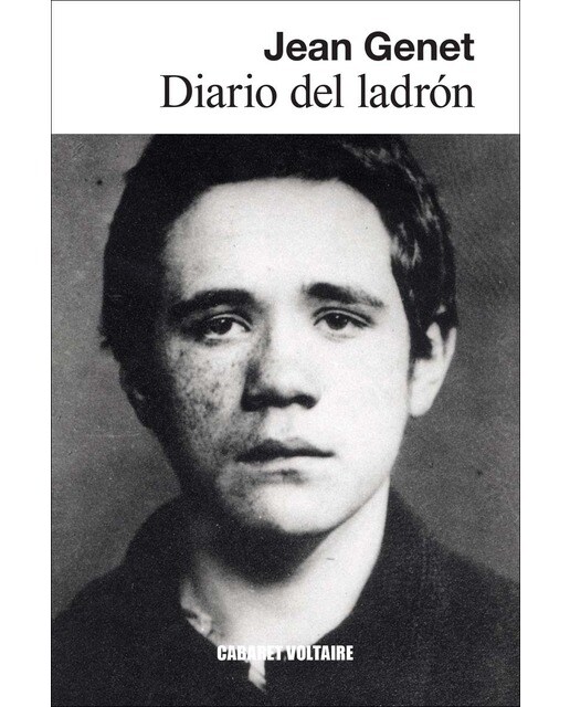 Imagen 1 de Diario del ladrón