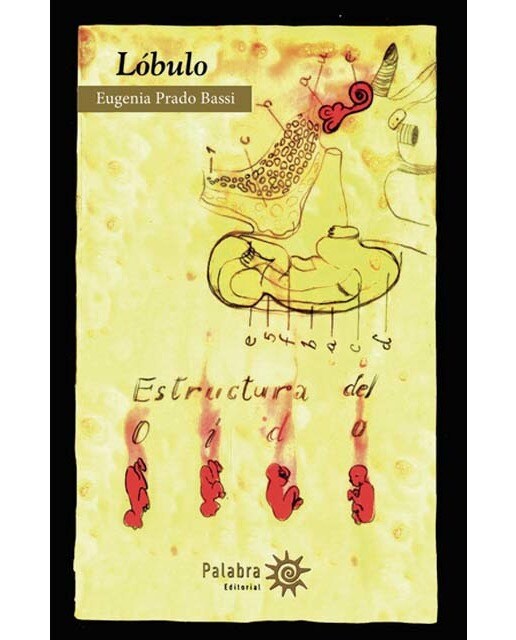 Lóbulo
