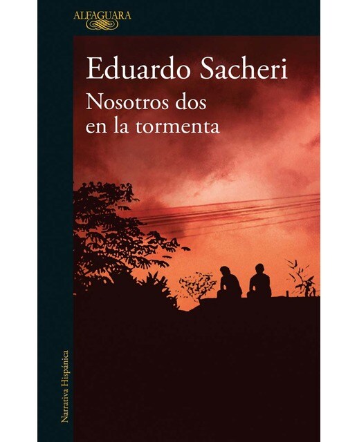 Imagen 0 de Nosotros dos en la tormenta  (Tapa blanda)