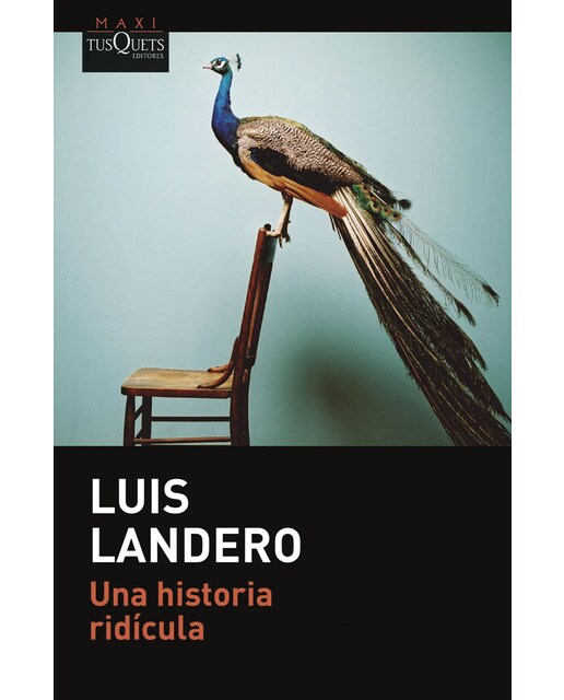 Imagen 1 de Una historia ridícula (Bolsillo)