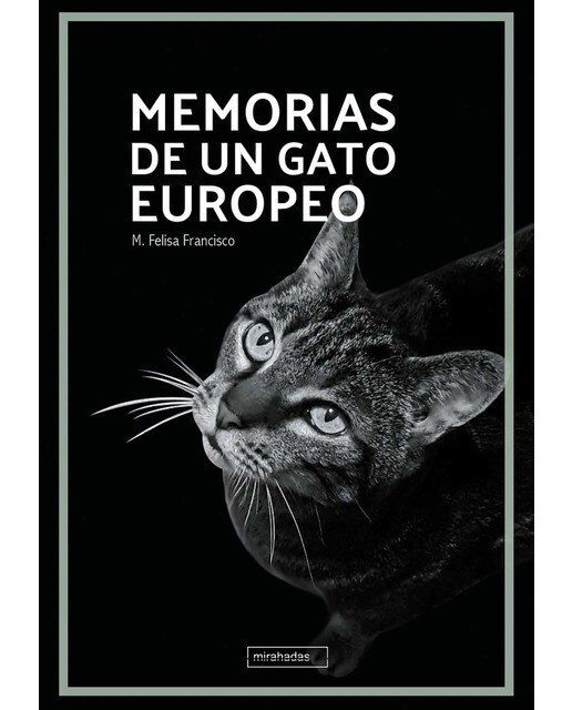 Memorias de un gato europeo