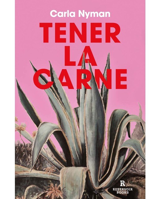 Imagen 1 de Tener la carne  (Tapa blanda)