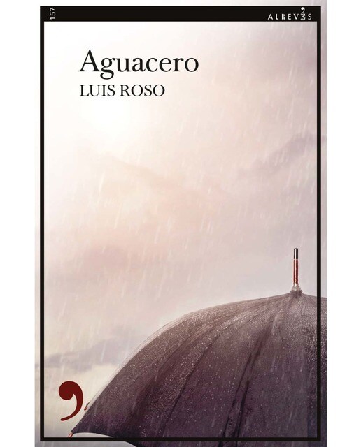 Imagen 0 de Aguacero  (Tapa blanda con solapas)