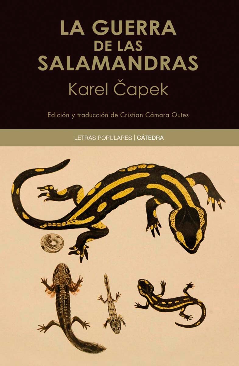 Imagen 0 de La guerra de las salamandras (Tapa blanda con solapas)