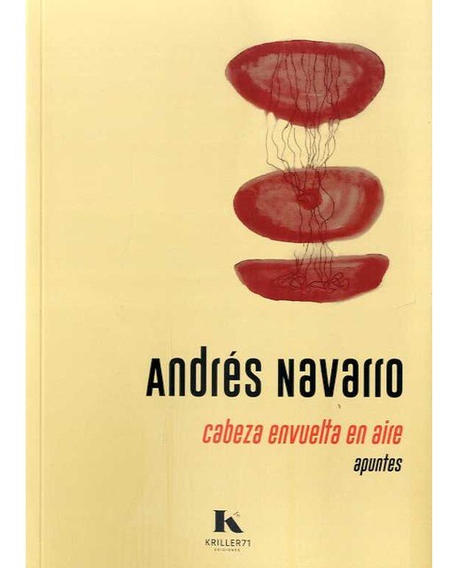 Cabeza envuelta en aire: Apuntes