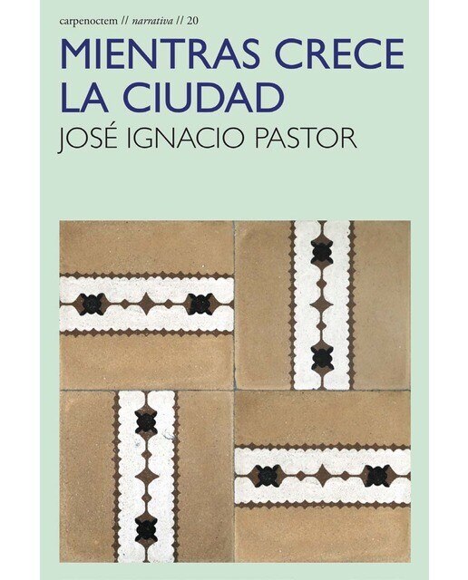 Imagen 0 de Mientras crece la ciudad  (Tapa blanda con solapas)