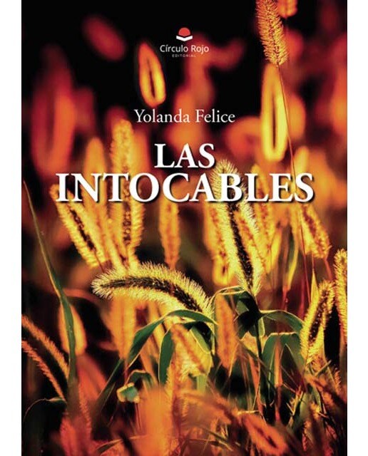 Imagen 1 de Las intocables
