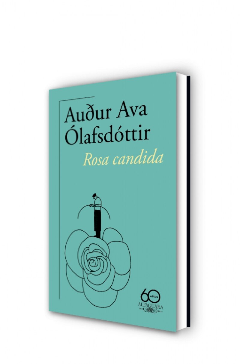 Rosa candida (60.º aniversario de Alfaguara) (Tapa blanda) 2