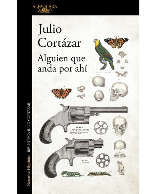 Alguien que anda por ahí (Capa mole) 1