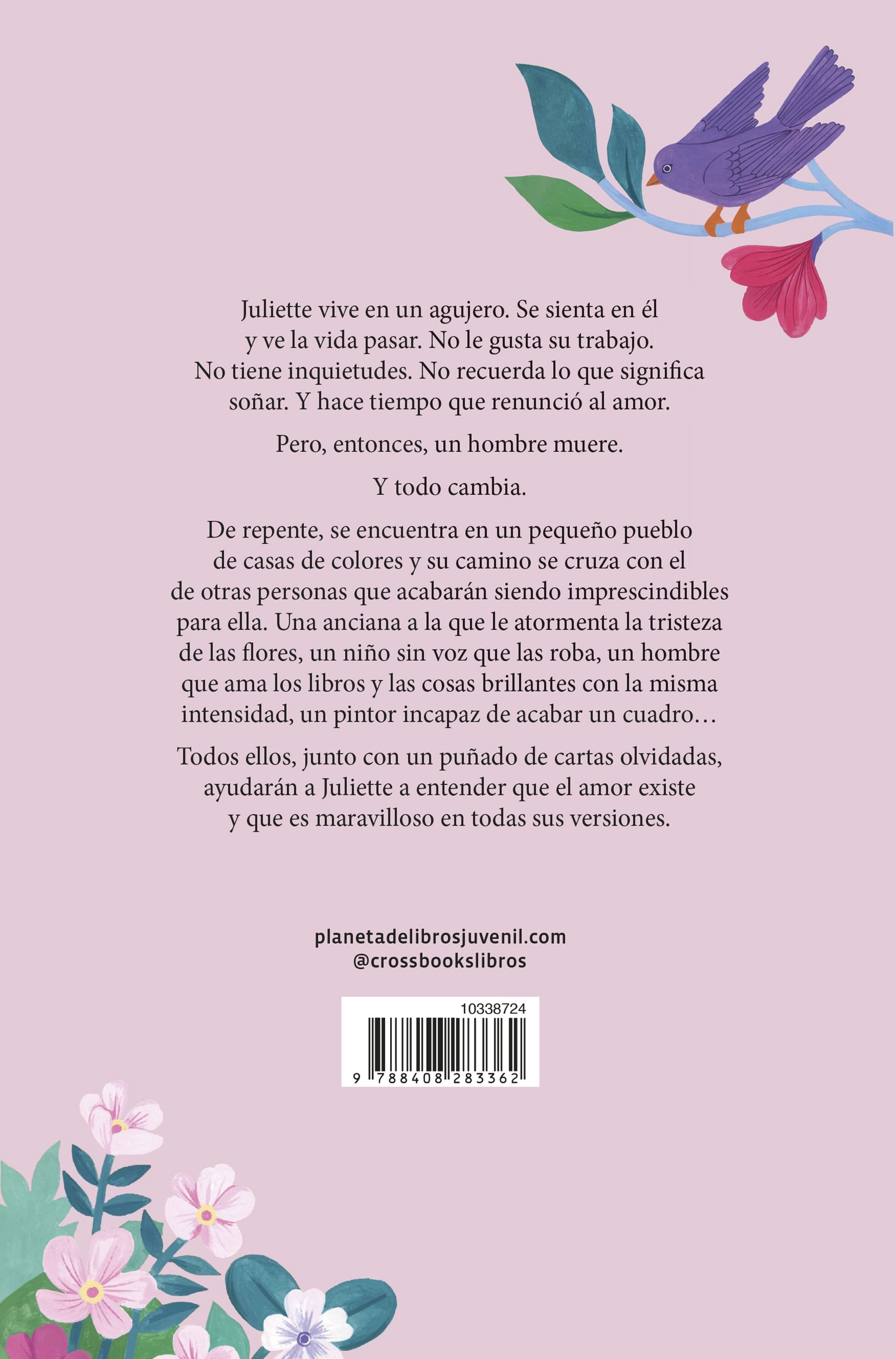 Juliette y las canciones perdidas (Capa mole com abas) 2
