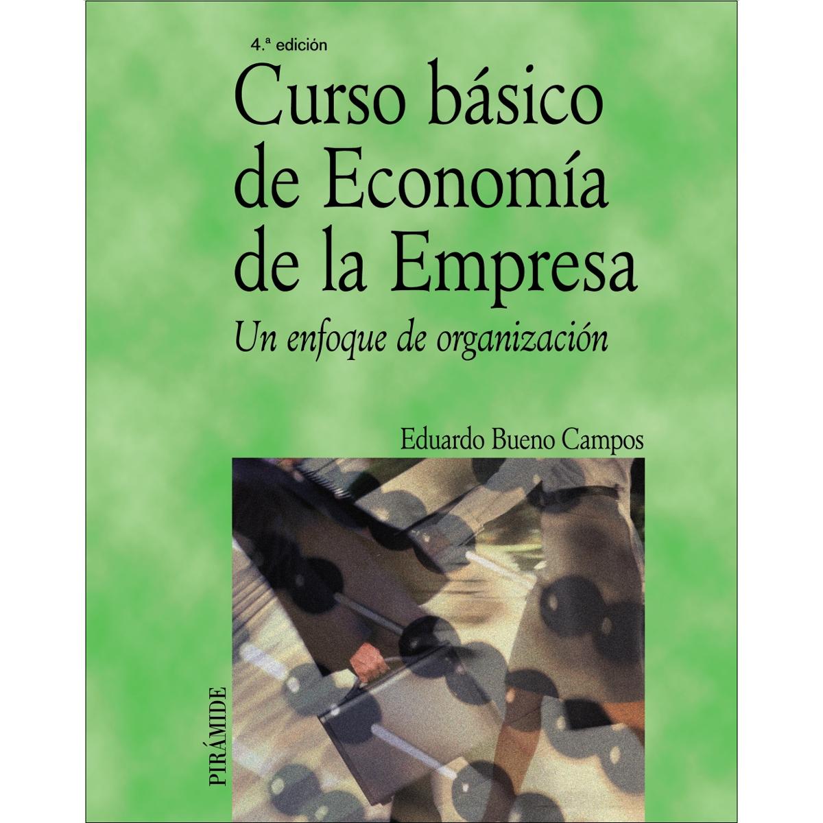 Curso básico de Economía de la Empresa: Un enfoque de organización (Capa mole) 1