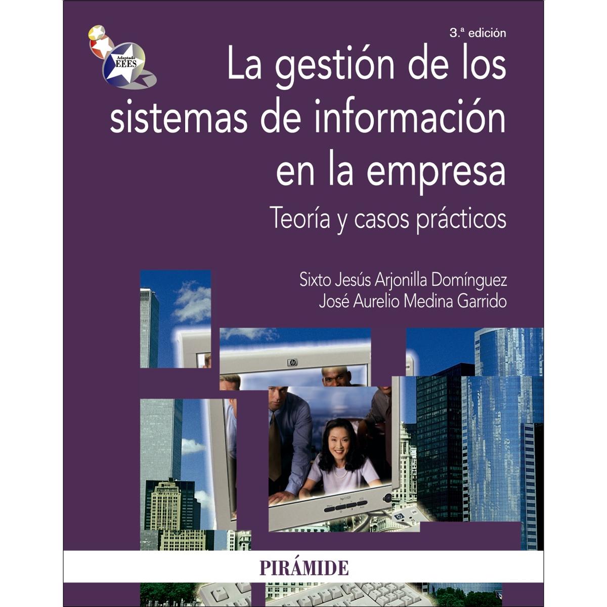 La gestión de los sistemas de información en la empresa: Teoría y casos prácticos(Tapa blanda) 1