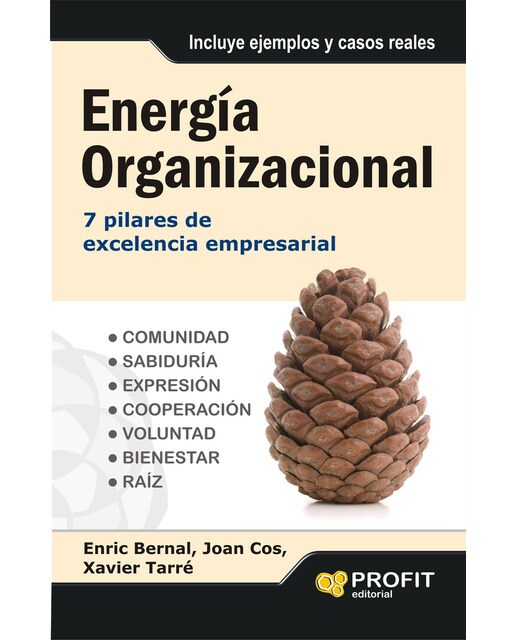 Energía Organizacional 1