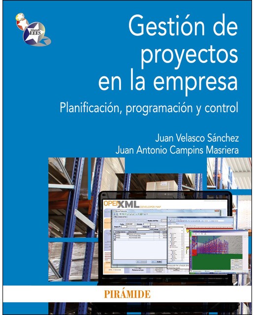 Gestión de proyectos en la empresa: Planificación, programación y control(Tapa blanda) 1