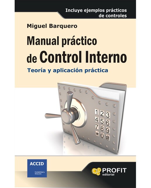 Manual Práctico De Control Interno 1