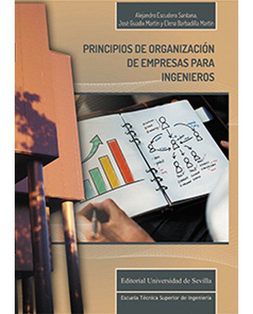 Principios de organización de empresas para ingenieros(Tapa blanda) 1