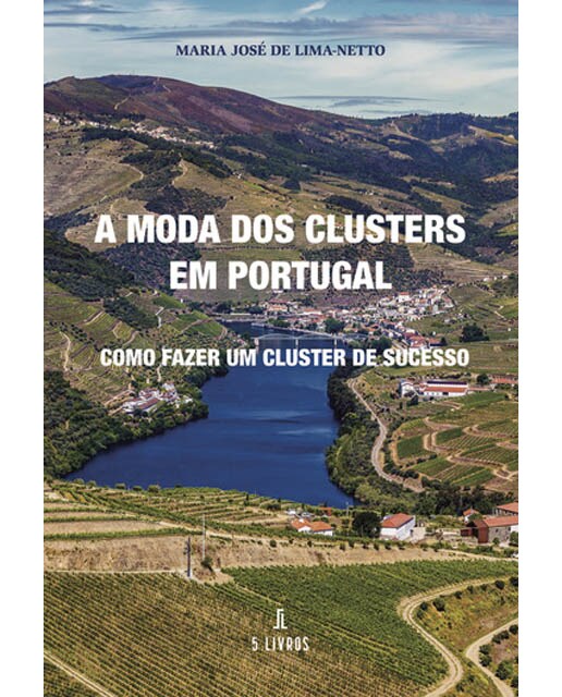 A moda dos clusters em Portugal 1