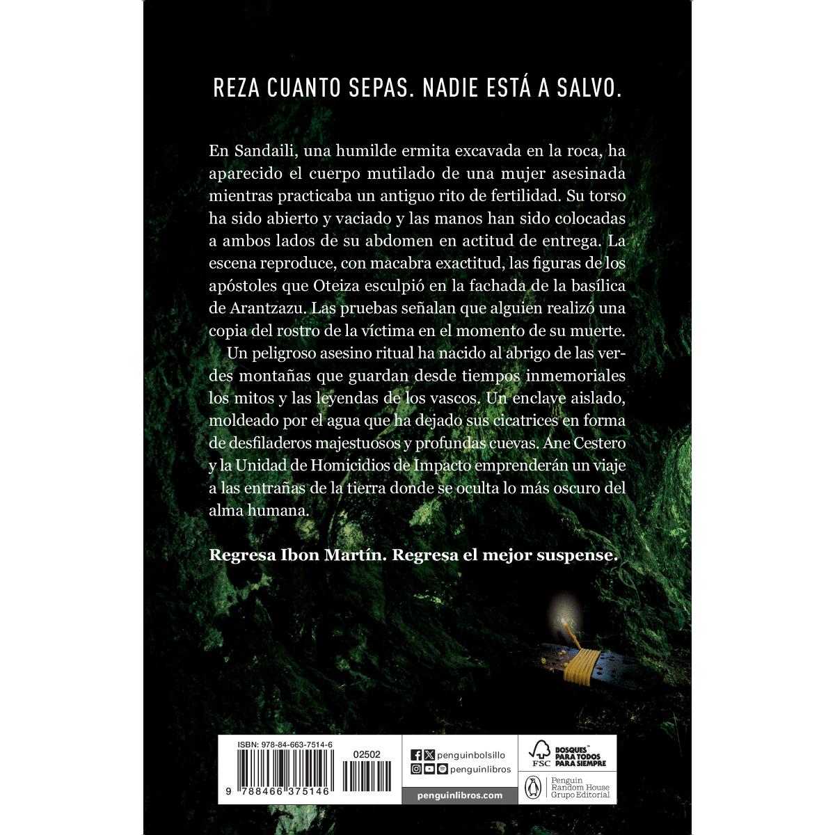 El ladrón de rostros (Inspectora Ane Cestero 3): (Inspectora Ane Cestero 3) (Bolso) 2