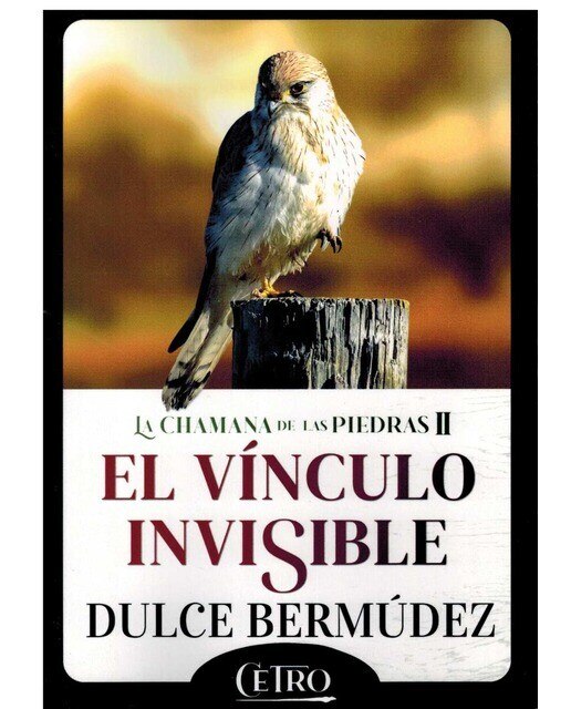 Imagen 0 de El vínculo invisible (Tapa blanda con solapas)