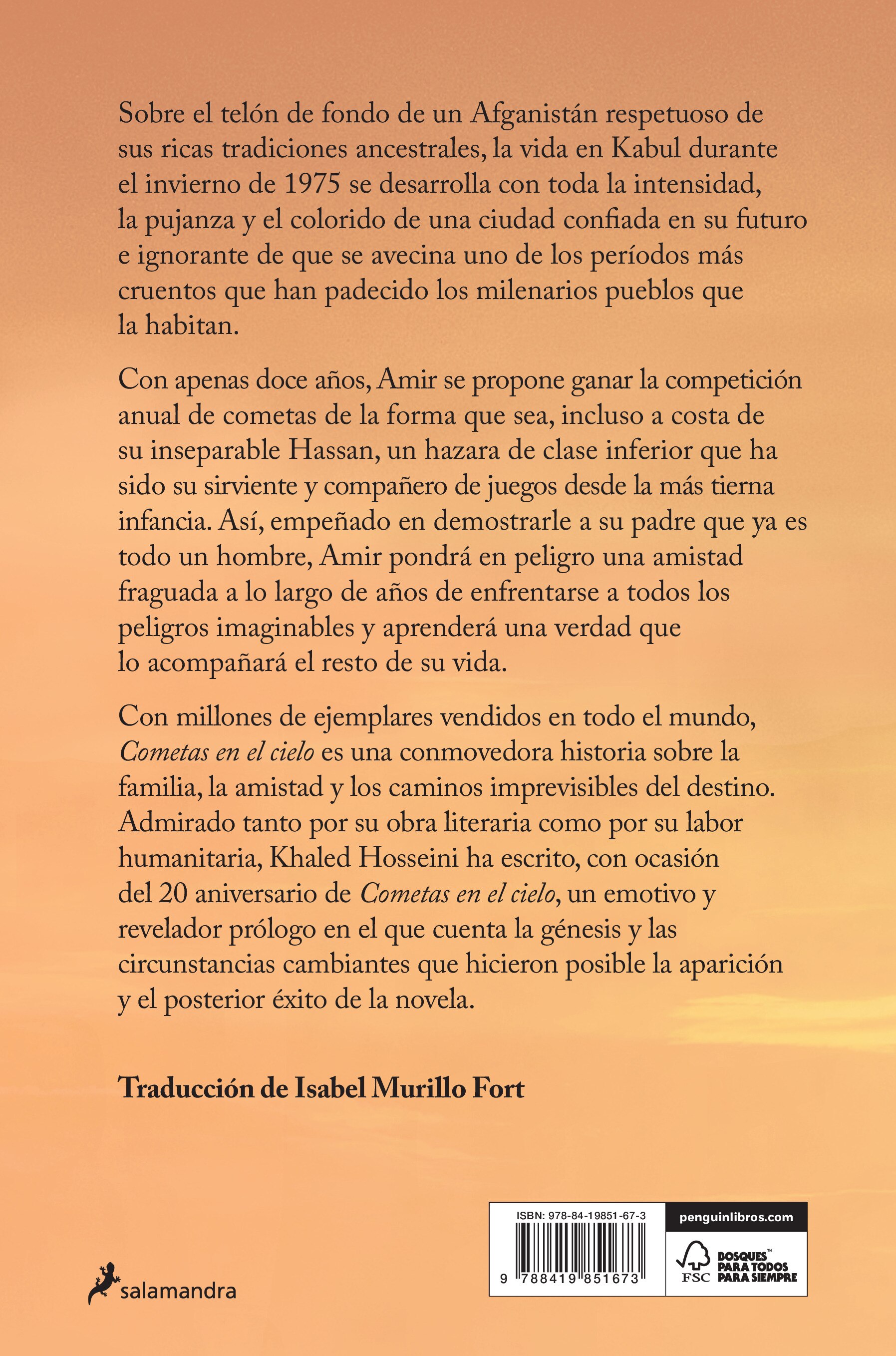 Cometas en el cielo  (Tapa blanda) 2