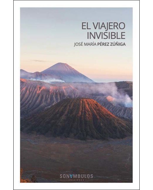 Imagen 0 de EL VIAJERO INVISIBLE (Tapa blanda)