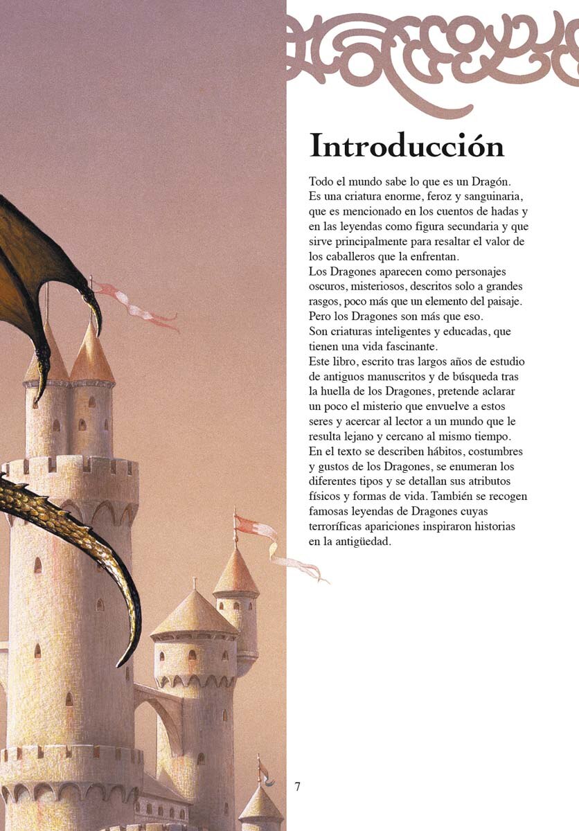 El libro del Dragón 2