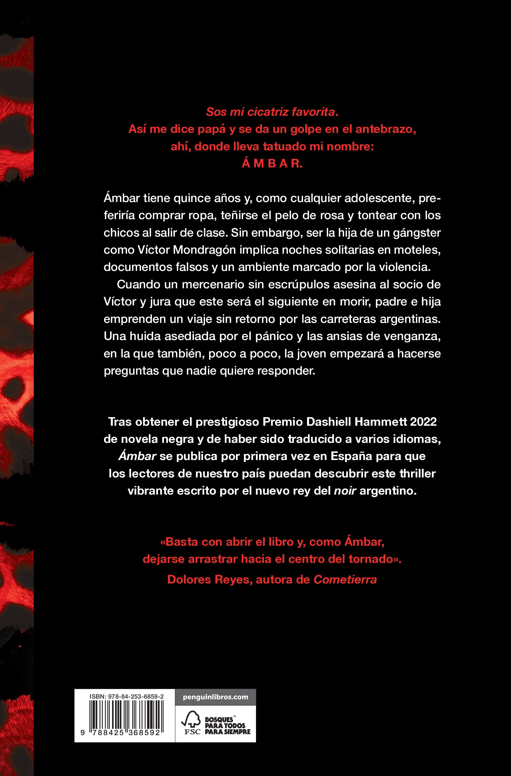 Imagen 2 de Ámbar (Tapa blanda)