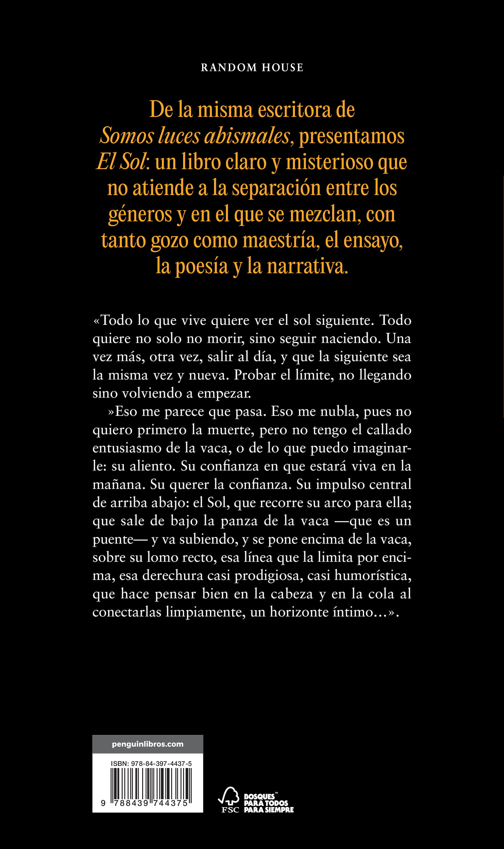 El Sol (Tapa blanda) 2