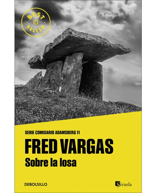 Imagem 0 de Sobre la losa (Comisario Adamsberg 11)