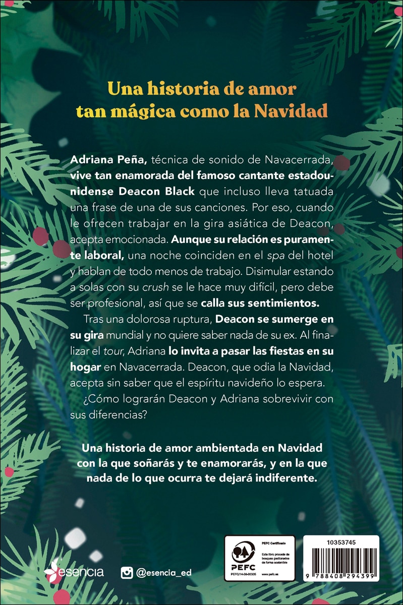 Una Navidad muy fun, fun, fun (Capa mole com abas) 4