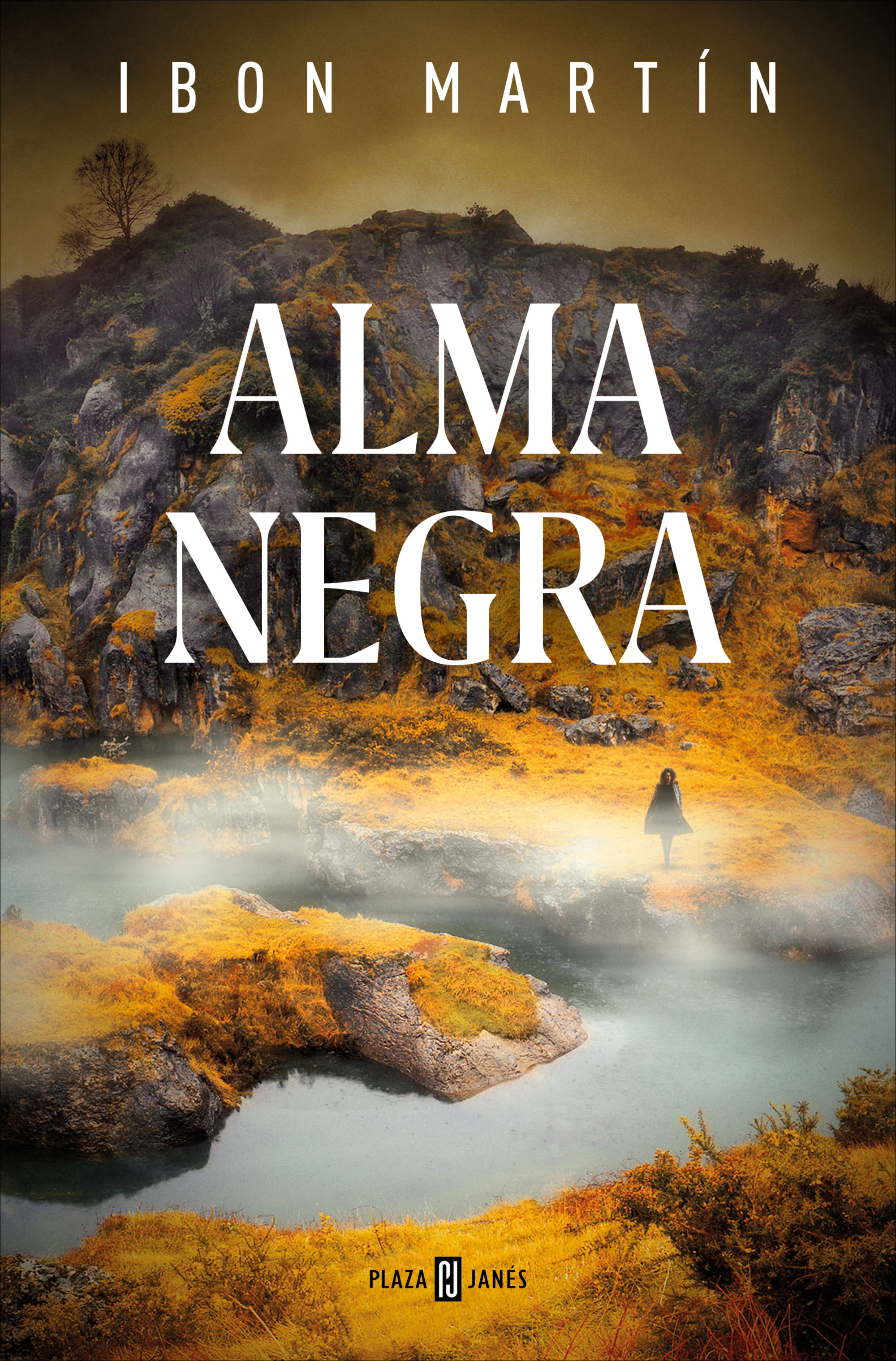 Alma negra (Inspectora Ane Cestero 4) (Tapa blanda) 1