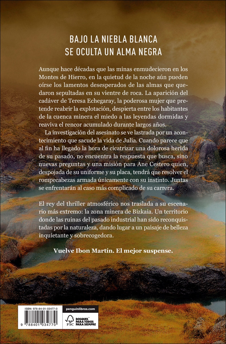 Alma negra (Inspectora Ane Cestero 4) (Tapa blanda) 2