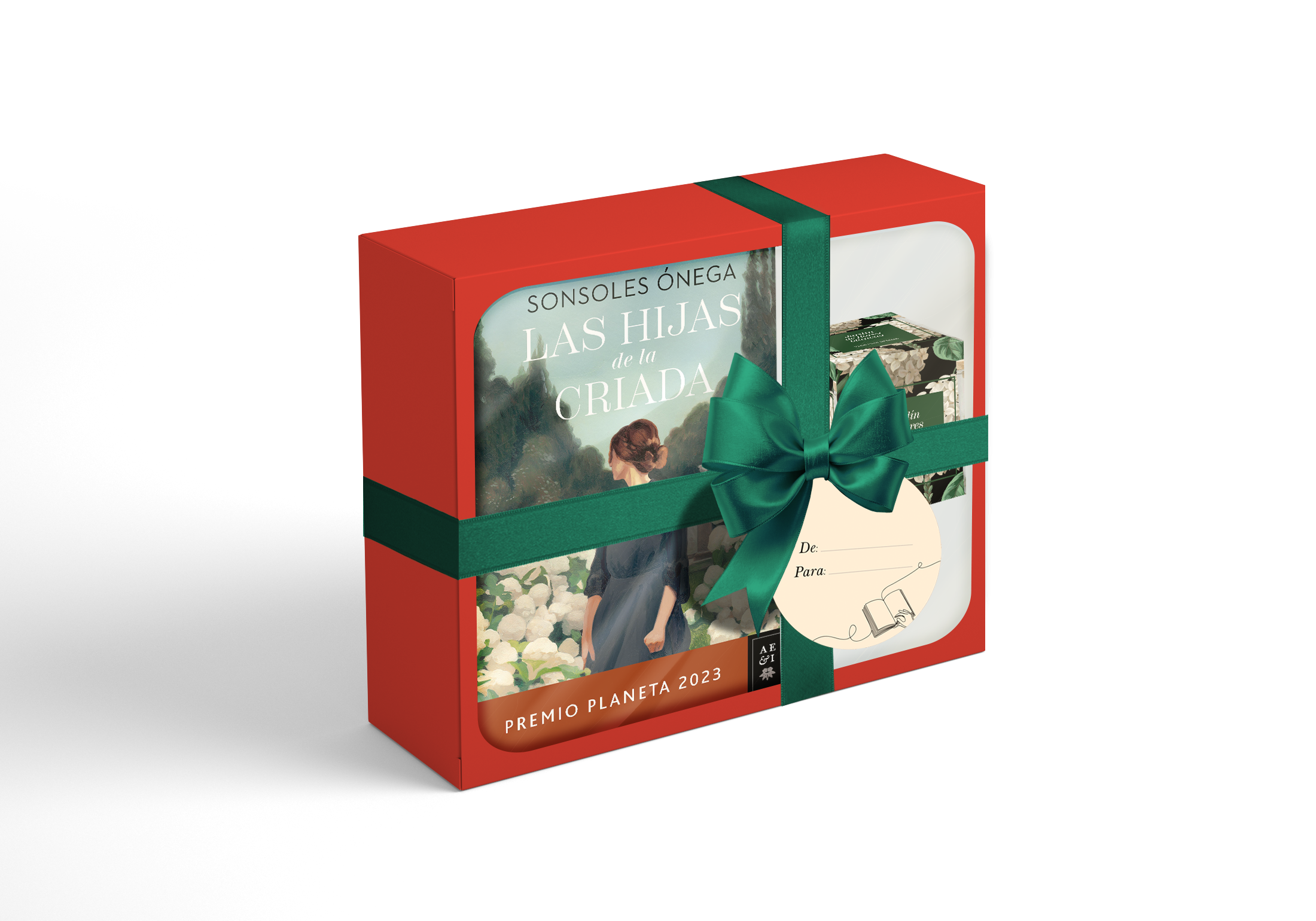 Book-box las hijas de la criada 1