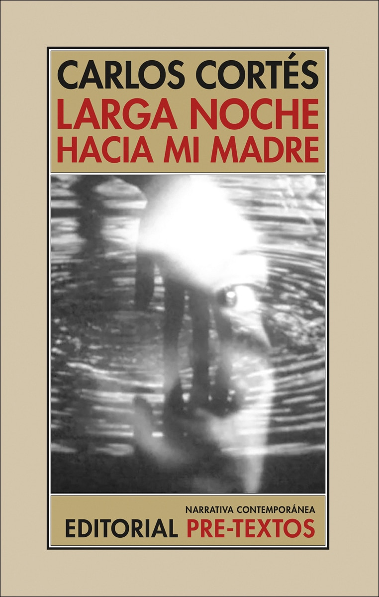 Imagen 0 de Larga noche hacia mi madre