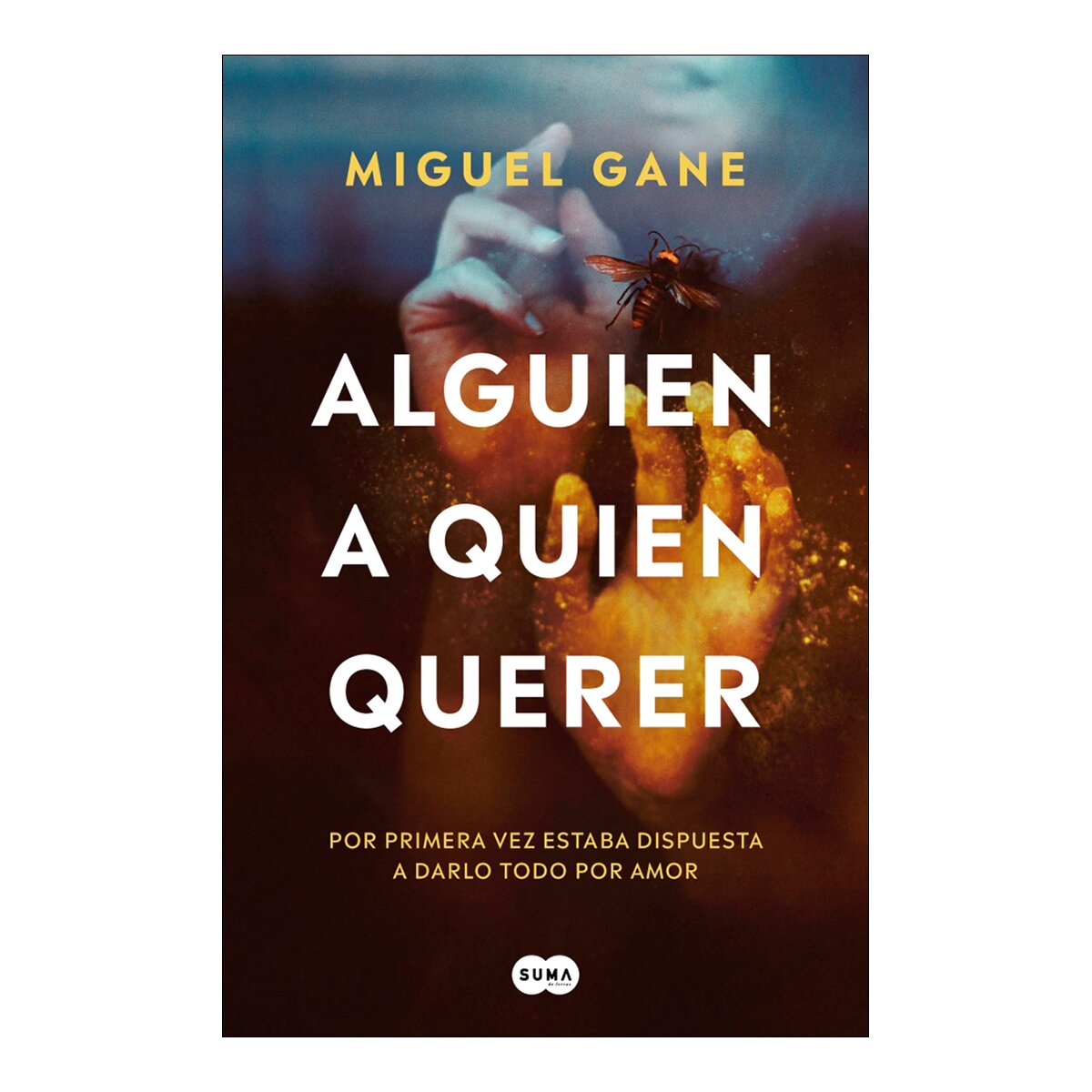 Imagen 0 de Alguien a quien querer (Tapa blanda)