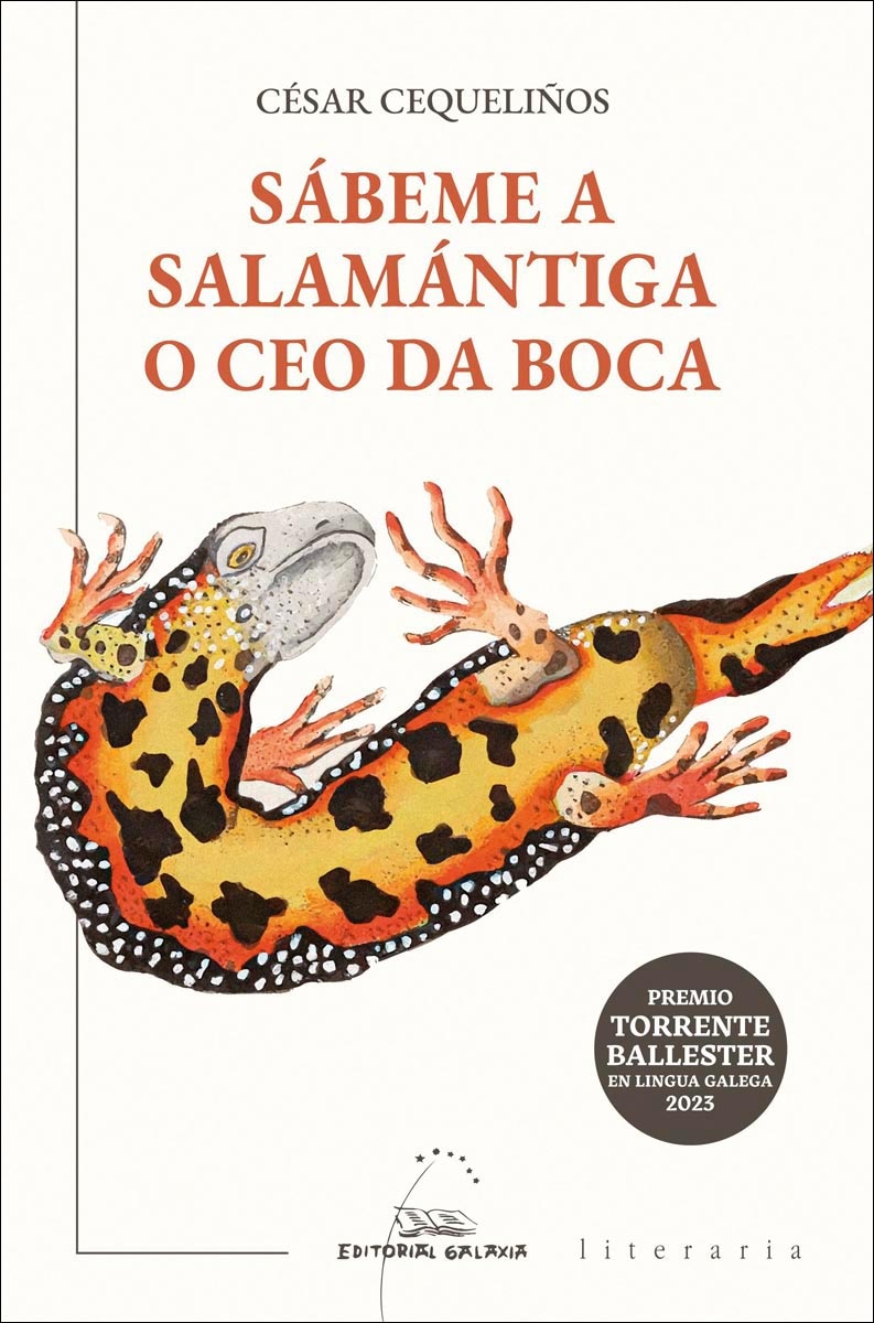 Imagem 0 de Sábeme a salamántiga o ceo da boca (Capa mole com abas)