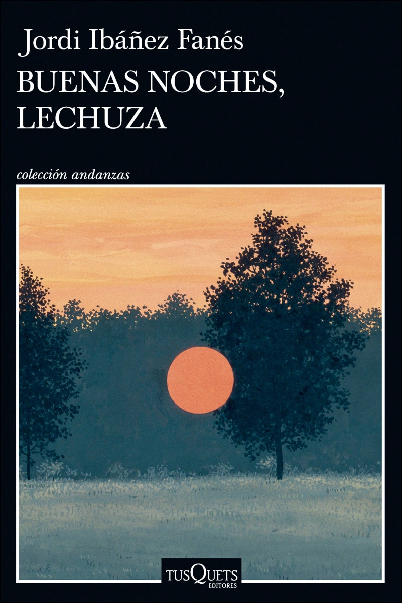 Imagen 0 de Buenas noches, lechuza (Tapa blanda con solapas)