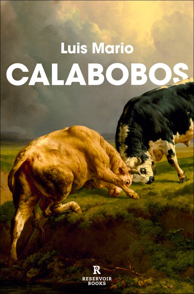 Imagen 0 de Calabobos  (Tapa blanda)