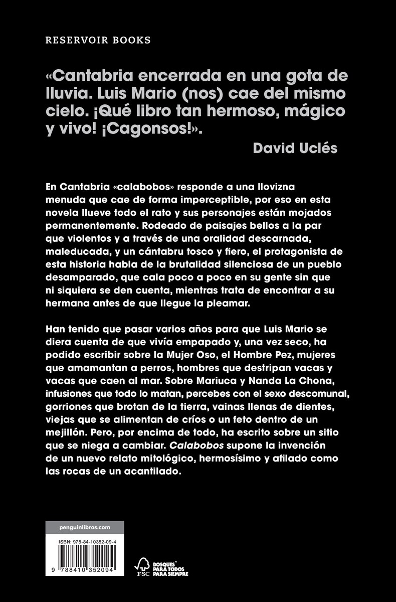 Calabobos (Capa mole) 2