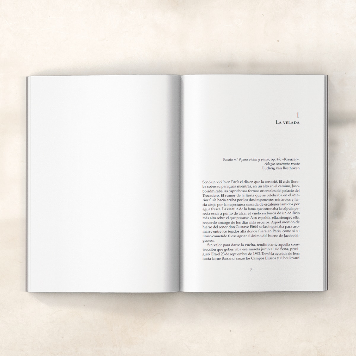 Sonó un violín en París 3