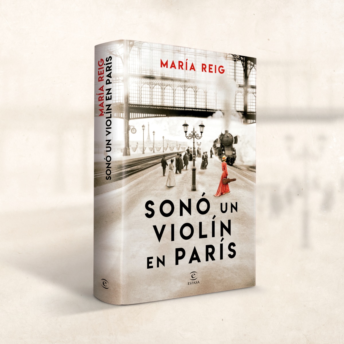 Sonó un violín en París 7