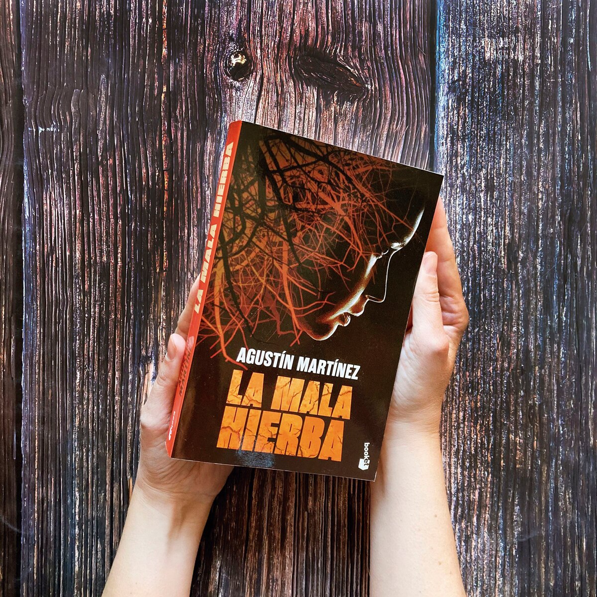 La mala hierba  (Bolsillo) 3