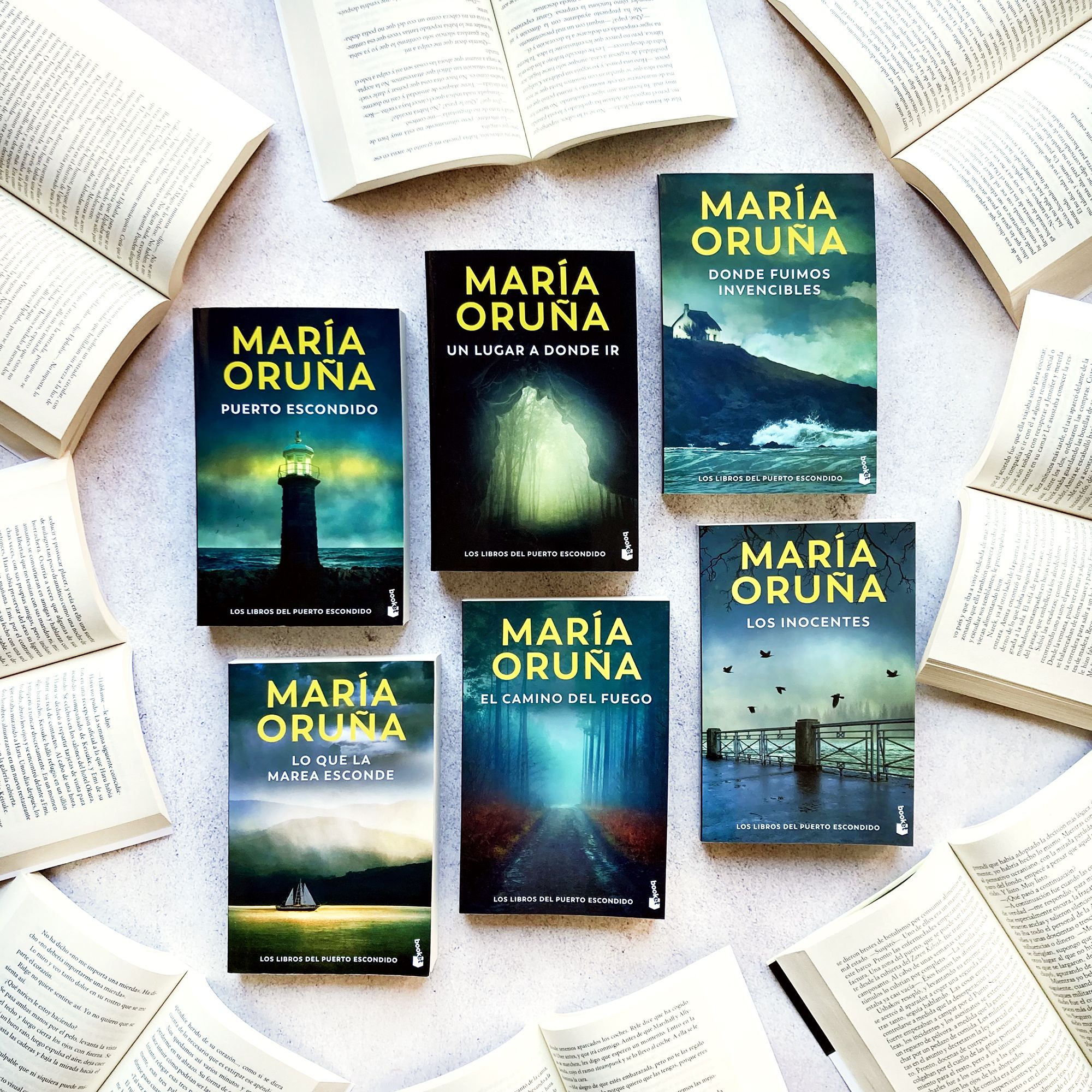 Lo que la marea esconde (Los libros del Puerto Escondido) (Bolso) 4