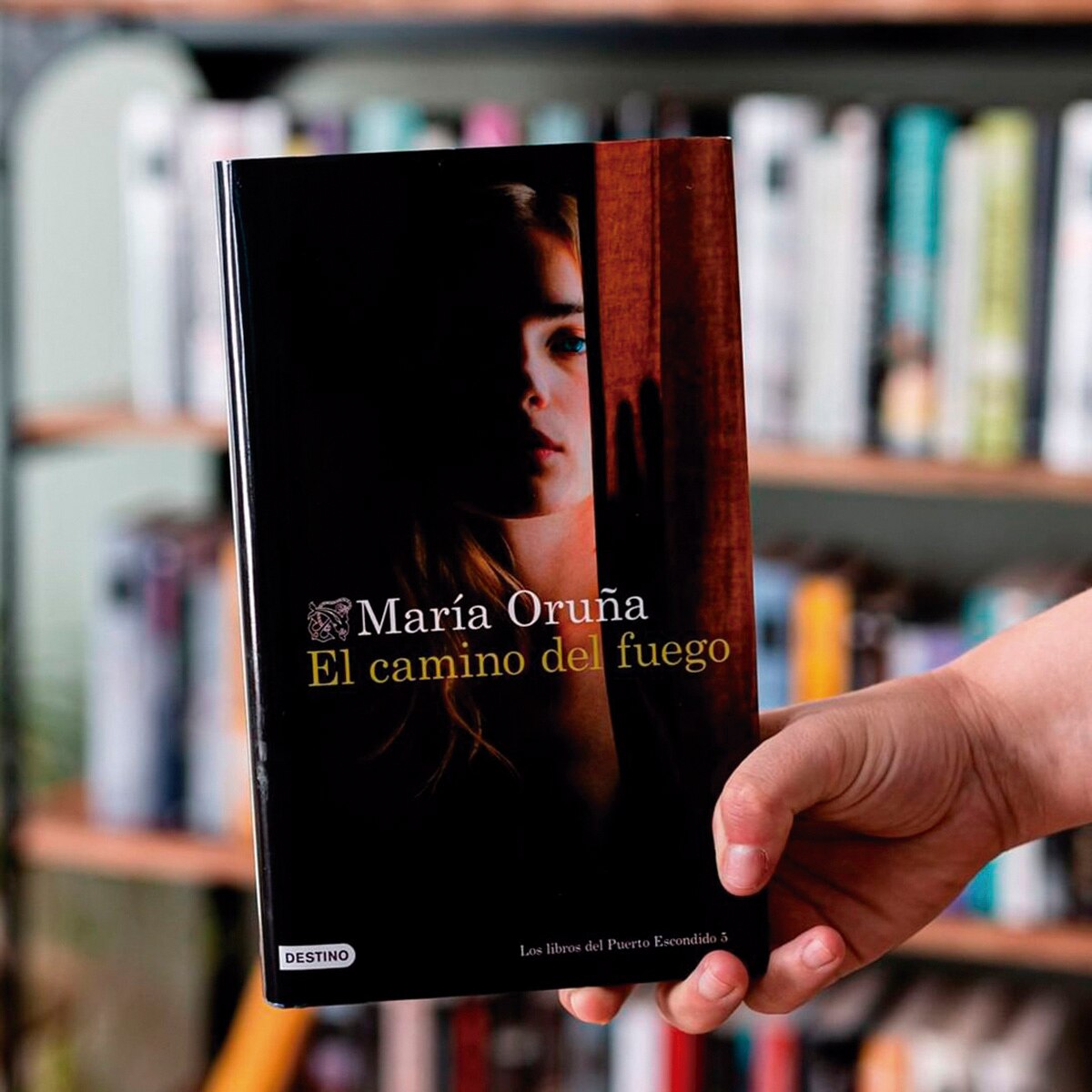 El camino del fuego (Los libros del Puerto Escondido) (Bolso) 3